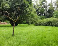 Maison, 175 m²