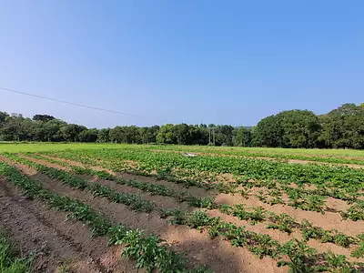 Terrain, 7 627 m²
