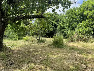 Terrain, 921 m²