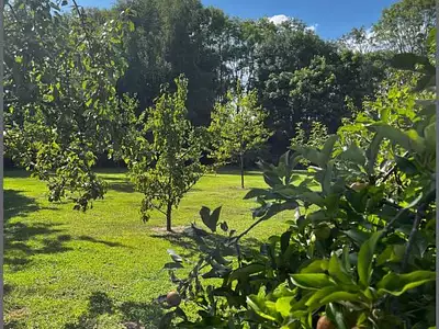 Maison, 126 m²