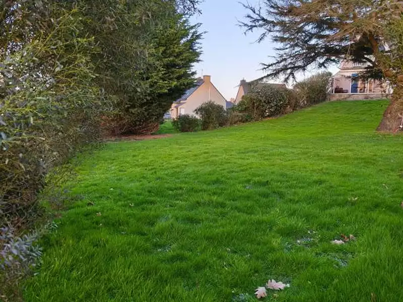 Terrain, 444 m²
