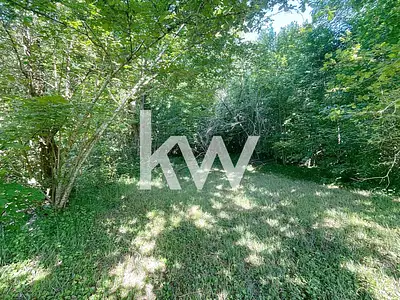 Terrain, 3 808 m²