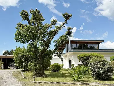 Maison, 270 m²
