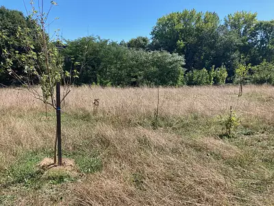 Terrain, 4 017 m²