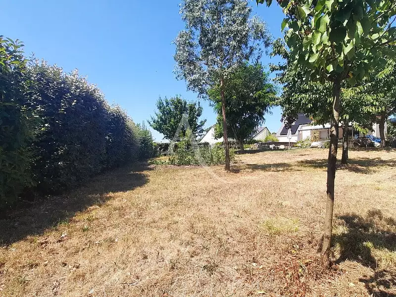 Terrain, 641 m²