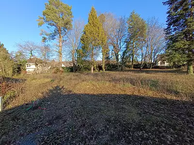 Terrain