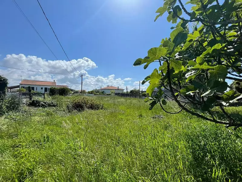 Terrain, 479 m²
