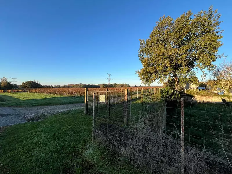Terrain, 921 m²