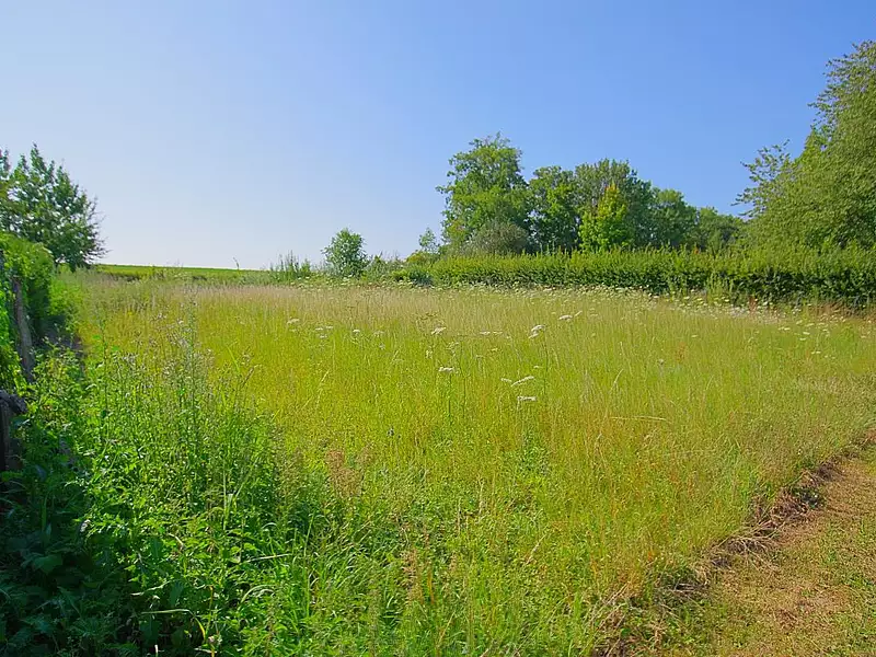 Terrain, 1 219 m²