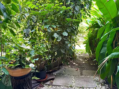 Appartement, 53 m²