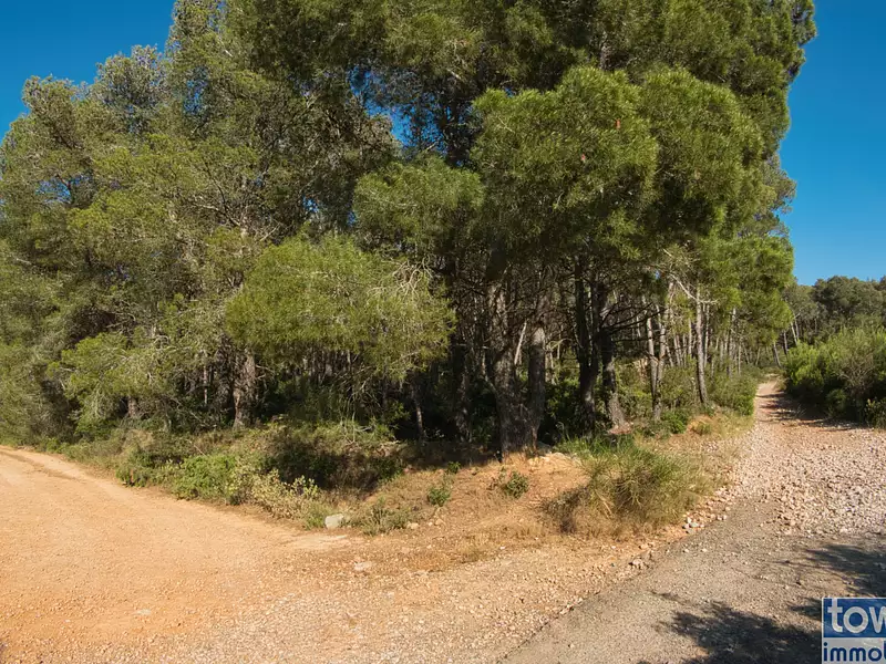 Terrain, 42 302 m²