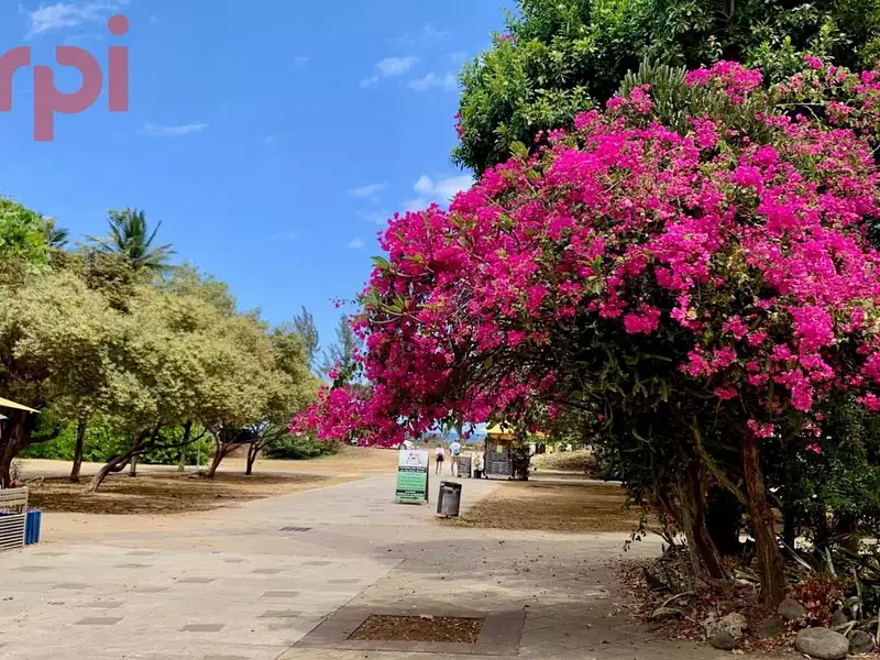 Appartement, 180 m²