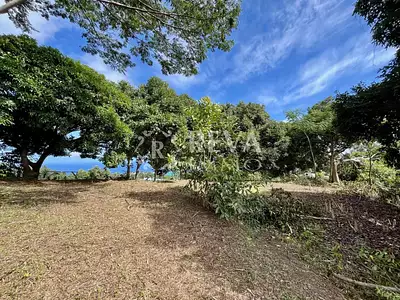 Terrain, 800 m²