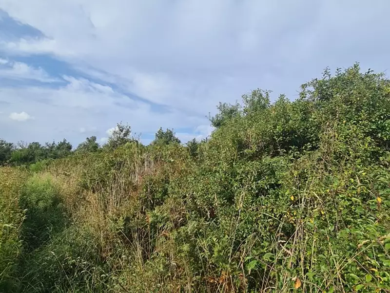 Terrain, 1 782 m²