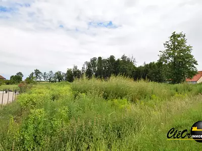 Terrain, 2 875 m²