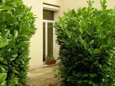 Appartement, 40,9 m²