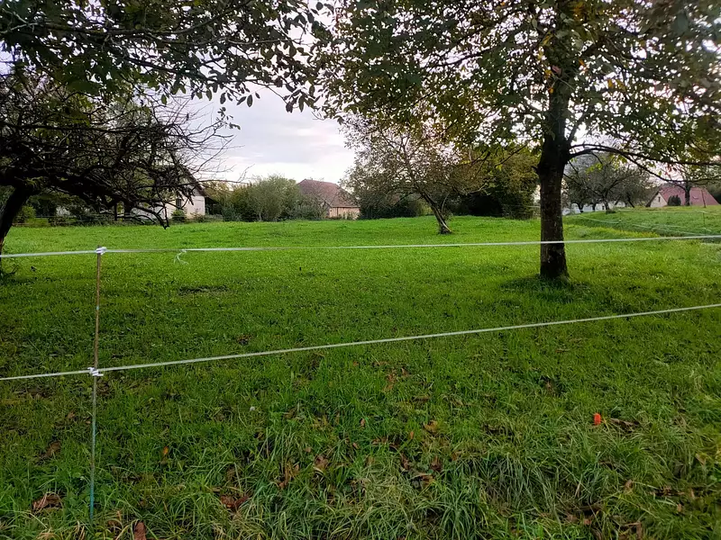 Terrain, 1 365 m²