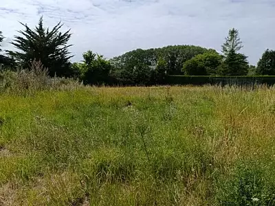 Terrain, 1 200 m²