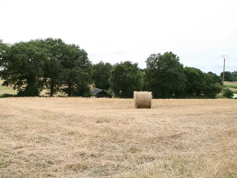 Terrain, 22 800 m²
