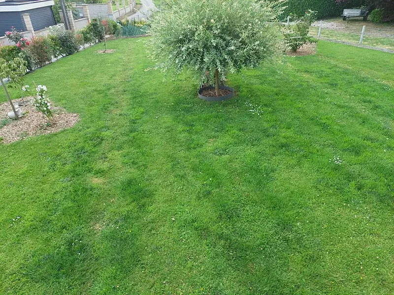 Maison, 55 m²
