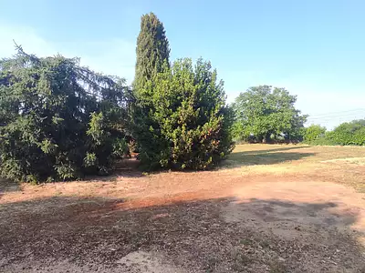 Maison, 80 m²
