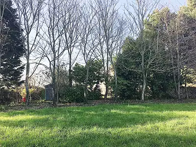 Terrain, 978 m²