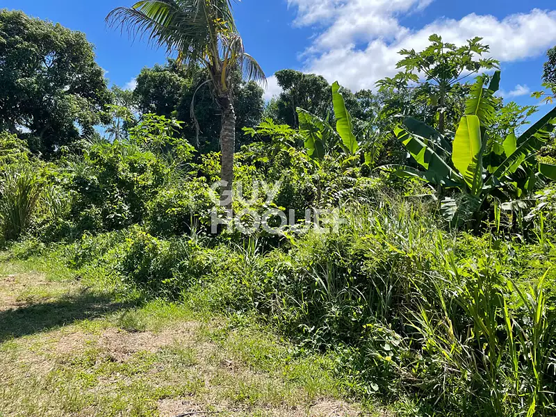 Terrain, 589 m²