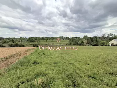 Terrain, 17 195 m²