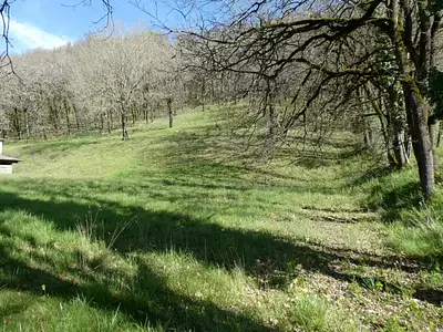 Terrain