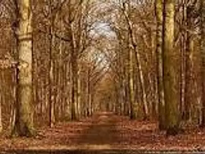 property.description.title