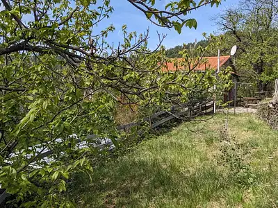 Maison, 59,5 m²