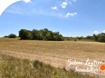 Terrain, 307 637 m²