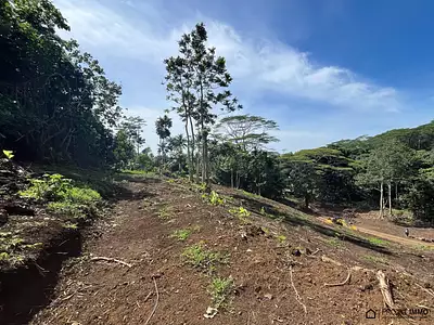 Terrain, 1 600 m²