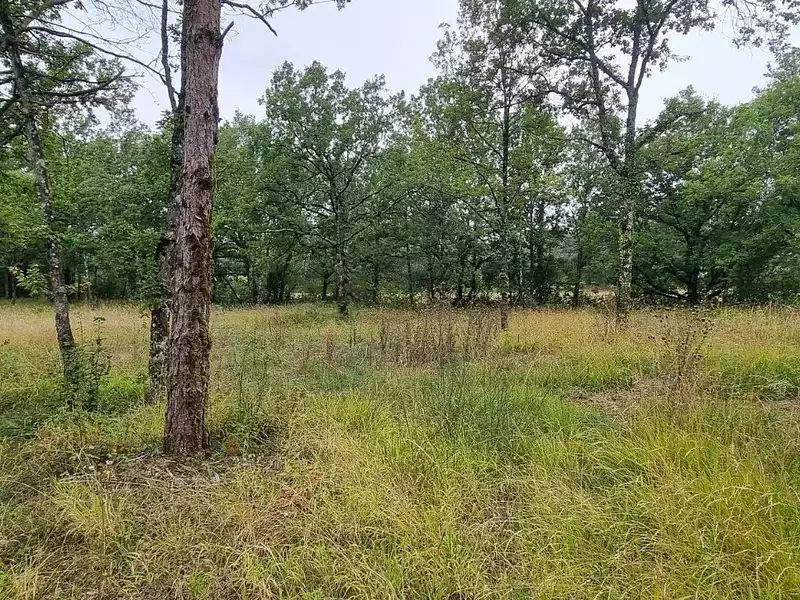 Terrain, 2 954 m²