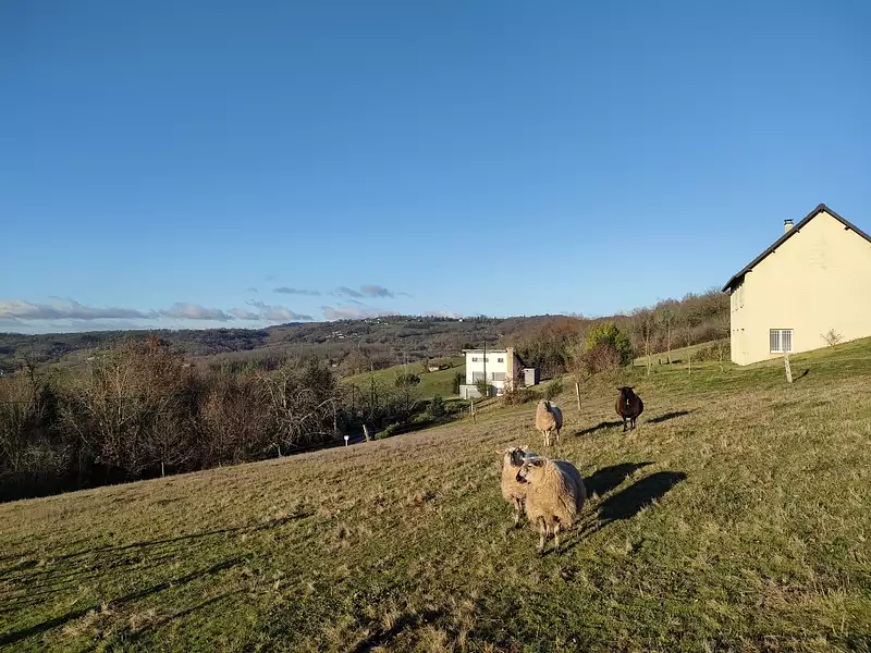 Terrain, 1 966 m²