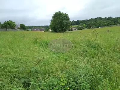 Terrain