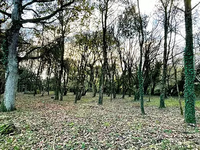 Terrain, 8 950 m²