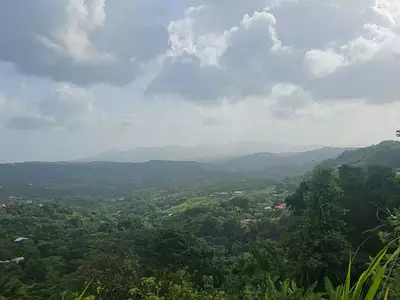 Terrain, 1 328 m²