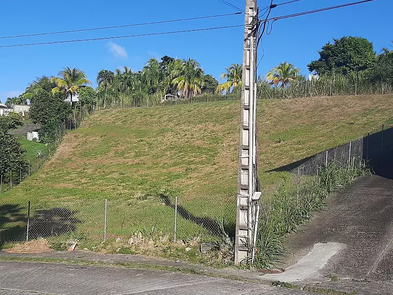 Terrain, 1 247 m²