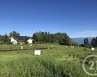 Terrain