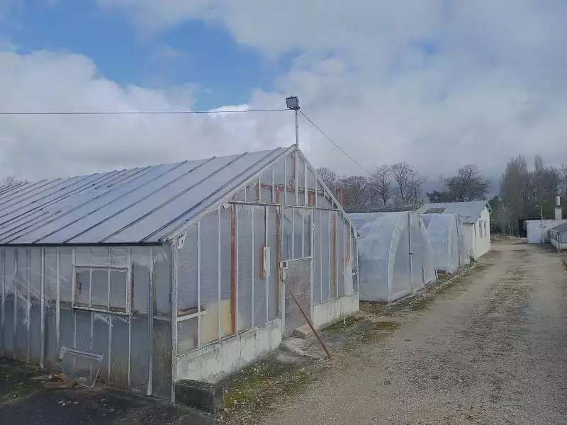 Terrain, 6 000 m²