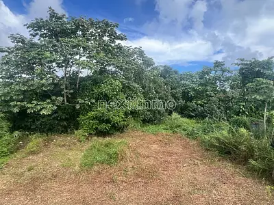 Terrain, 1 274 m²