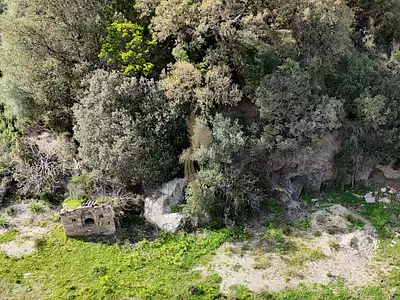 Terrain, 2 259 m²