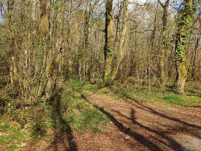 Terrain, 1 098 m²
