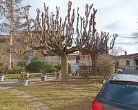 Maison, 257 m²