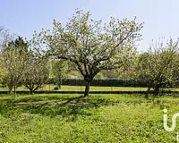 Terrain, 697 m²