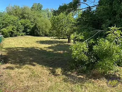 Terrain, 5 501 m²