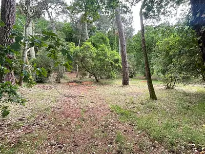 Terrain, 1 053 m²