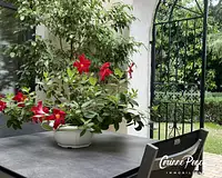 Appartement, 145 m²