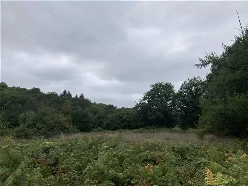 Terrain, 4 316 m²